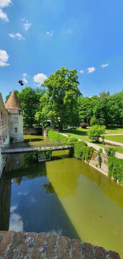 Chateau De La Cour Senlisse Eksteriør bilde